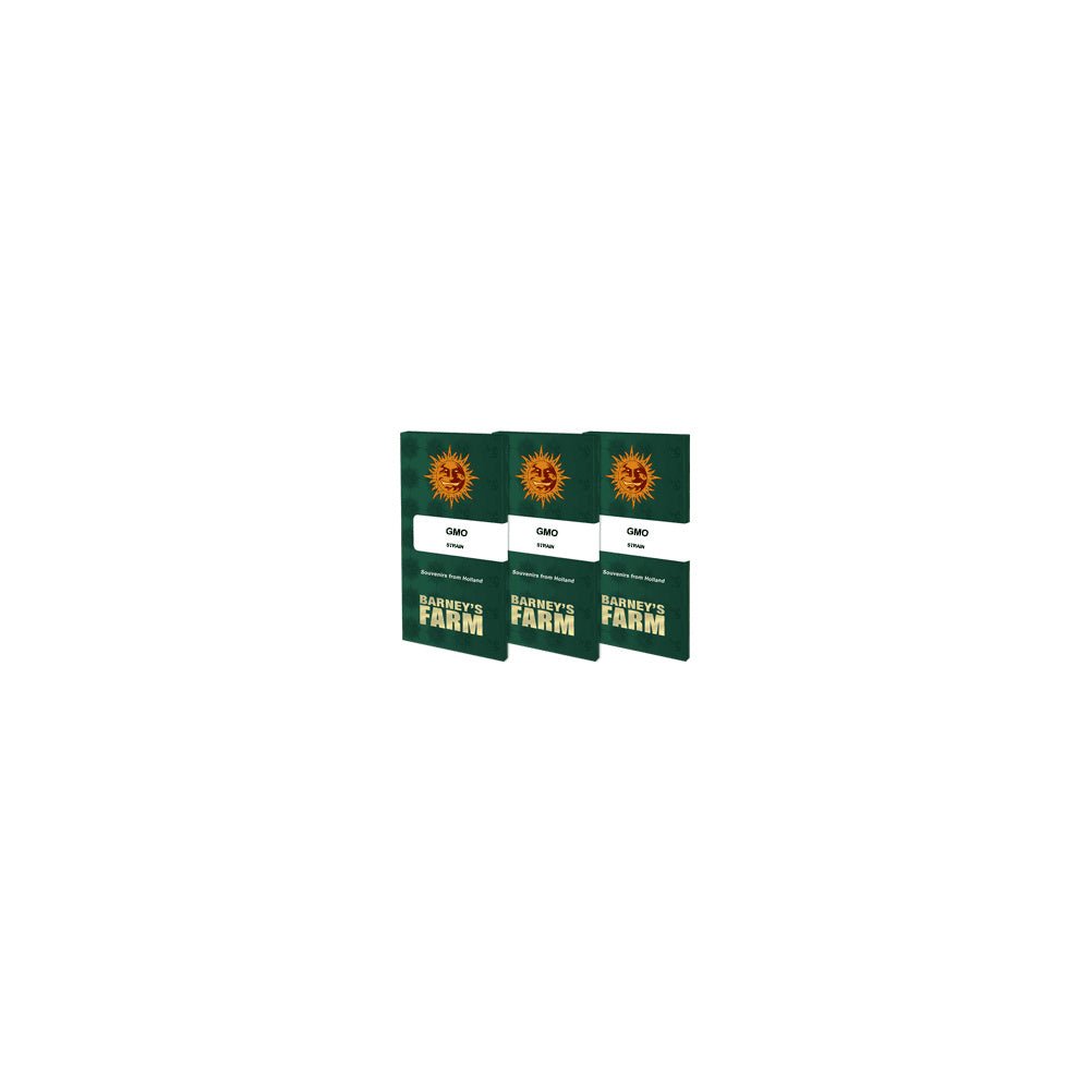 Barney´s Farm GMO Seeds 10er Packung - MR Weed1