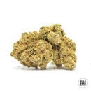 Bulk Seed Bank - Ananas Funk 10er Packung feminisiert - MR Weed1