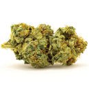 Bulk Seed Bank - Auto Banana Monkey 5er Packung auto - feminisert - MR Weed1