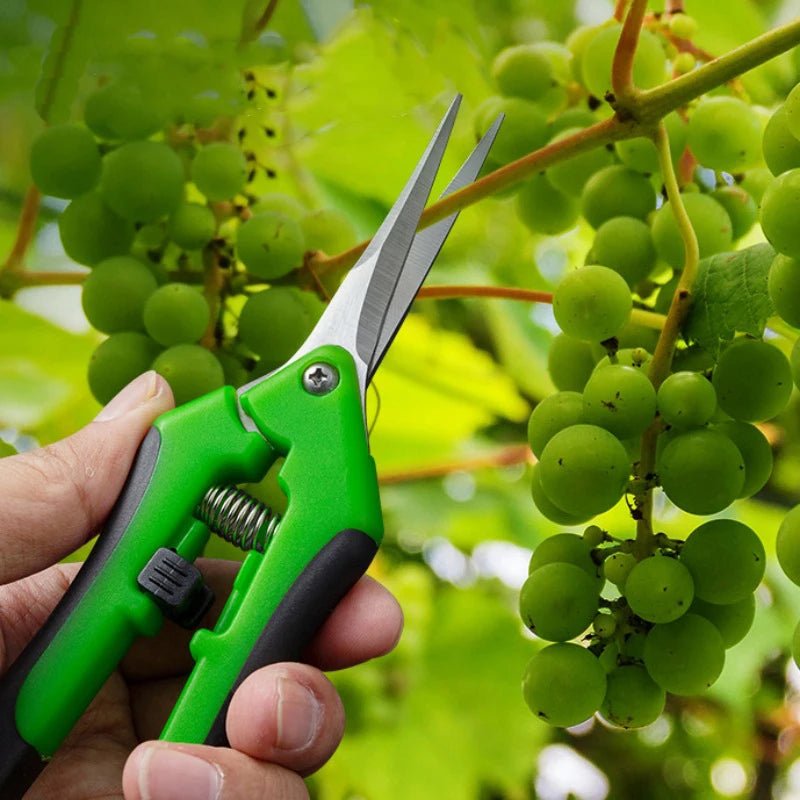 Garden Tools Secateurs Bonsai Shears Metal Gardening Scissor Pruning Tool Hand Cutter Fruit Picking Weed Household Potted 1PC - MR Weed1