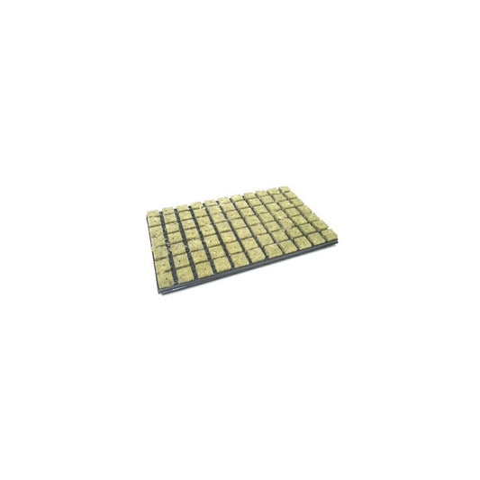 Steinwollkeile 3.5 x 3.5cm 77 Stück - Mr - Weed - MR Weed1